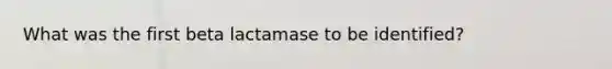 What was the first beta lactamase to be identified?