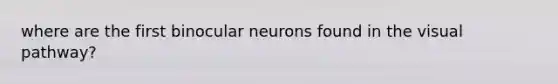 where are the first binocular neurons found in the visual pathway?