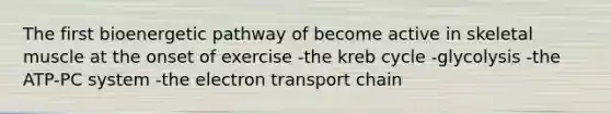 The first bioenergetic pathway of become active in skeletal muscle at the onset of exercise -the kreb cycle -glycolysis -the ATP-PC system -the electron transport chain