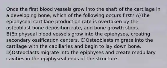 Once the first blood vessels grow into the shaft of the cartilage in a developing bone, which of the following occurs first? A)The epiphyseal cartilage production rate is overtaken by the osteoblast bone deposition rate, and bone growth stops. B)Epiphyseal blood vessels grow into the epiphyses, creating secondary ossification centers. C)Osteoblasts migrate into the cartilage with the capillaries and begin to lay down bone. D)Osteoclasts migrate into the epiphyses and create medullary cavities in the epiphyseal ends of the structure.