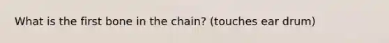 What is the first bone in the chain? (touches ear drum)