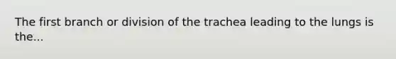 The first branch or division of the trachea leading to the lungs is the...