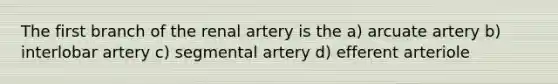 The first branch of the renal artery is the a) arcuate artery b) interlobar artery c) segmental artery d) efferent arteriole