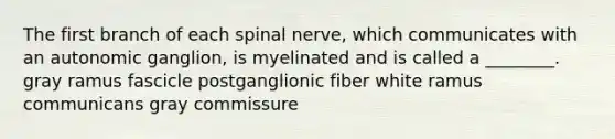 The first branch of each spinal nerve, which communicates with an autonomic ganglion, is myelinated and is called a ________. gray ramus fascicle postganglionic fiber white ramus communicans gray commissure