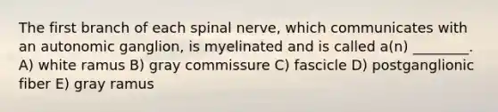 The first branch of each spinal nerve, which communicates with an autonomic ganglion, is myelinated and is called a(n) ________. A) white ramus B) gray commissure C) fascicle D) postganglionic fiber E) gray ramus