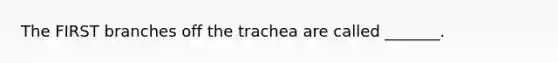 The FIRST branches off the trachea are called _______.