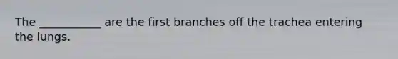 The ___________ are the first branches off the trachea entering the lungs.​