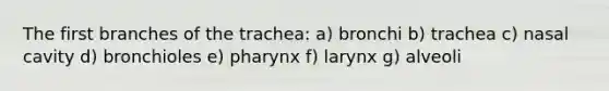 The first branches of the trachea: a) bronchi b) trachea c) nasal cavity d) bronchioles e) pharynx f) larynx g) alveoli