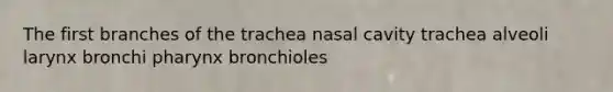 The first branches of the trachea nasal cavity trachea alveoli larynx bronchi pharynx bronchioles