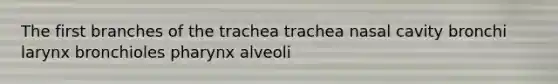 The first branches of the trachea trachea nasal cavity bronchi larynx bronchioles pharynx alveoli