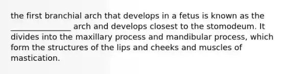 the first branchial arch that develops in a fetus is known as the _______________ arch and develops closest to the stomodeum. It divides into the maxillary process and mandibular process, which form the structures of the lips and cheeks and muscles of mastication.