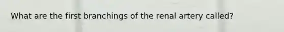 What are the first branchings of the renal artery called?