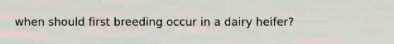 when should first breeding occur in a dairy heifer?