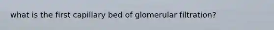 what is the first capillary bed of glomerular filtration?