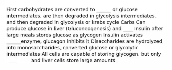 First carbohydrates are converted to ______ or glucose intermediates, are then degraded in glycolysis intermediates, and then degraded in glycolysis or krebs cycle Carbs Can produce glucose in liver (Gluconeogenesis) and ____ Insulin after large meals stores glucose as glycogen Insulin activates ______enzyme, glucagon inhibits it Disaccharides are hydrolyzed into monosaccharides, converted glucose or glycolytic intermediates All cells are capable of storing glycogen, but only ____ _____ and liver cells store large amounts