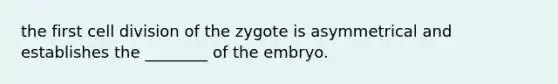 the first cell division of the zygote is asymmetrical and establishes the ________ of the embryo.