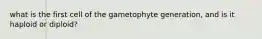 what is the first cell of the gametophyte generation, and is it haploid or diploid?