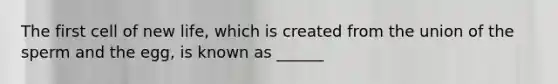 The first cell of new life, which is created from the union of the sperm and the egg, is known as ______
