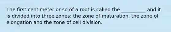 The first centimeter or so of a root is called the __________ and it is divided into three zones: the zone of maturation, the zone of elongation and the zone of cell division.