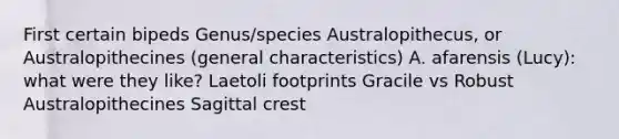 First certain bipeds Genus/species Australopithecus, or Australopithecines (general characteristics) A. afarensis (Lucy): what were they like? Laetoli footprints Gracile vs Robust Australopithecines Sagittal crest