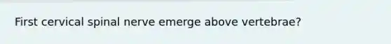 First cervical spinal nerve emerge above vertebrae?