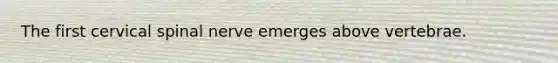 The first cervical spinal nerve emerges above vertebrae.
