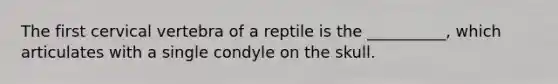 The first cervical vertebra of a reptile is the __________, which articulates with a single condyle on the skull.