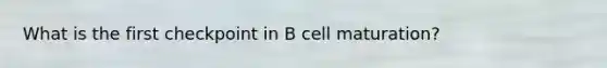 What is the first checkpoint in B cell maturation?