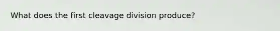 What does the first cleavage division produce?