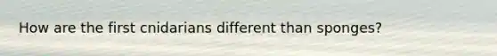 How are the first cnidarians different than sponges?