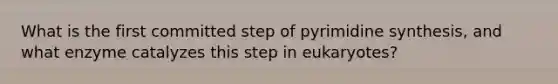 What is the first committed step of pyrimidine synthesis, and what enzyme catalyzes this step in eukaryotes?