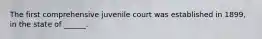 The first comprehensive juvenile court was established in 1899, in the state of ______.