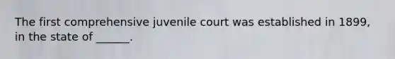 The first comprehensive juvenile court was established in 1899, in the state of ______.