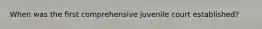 When was the first comprehensive juvenile court established?