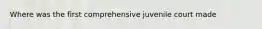 Where was the first comprehensive juvenile court made