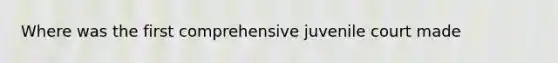 Where was the first comprehensive juvenile court made