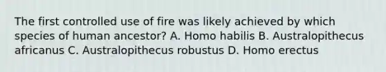 The first controlled use of fire was likely achieved by which species of human ancestor? A. Homo habilis B. Australopithecus africanus C. Australopithecus robustus D. Homo erectus