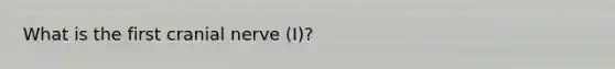 What is the first cranial nerve (I)?