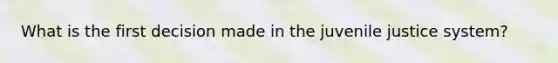 What is the first decision made in the juvenile justice system?
