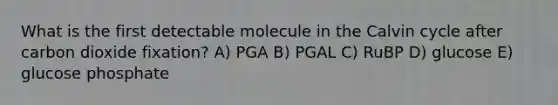 What is the first detectable molecule in the Calvin cycle after carbon dioxide fixation? A) PGA B) PGAL C) RuBP D) glucose E) glucose phosphate