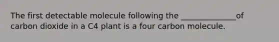 The first detectable molecule following the ______________of carbon dioxide in a C4 plant is a four carbon molecule.