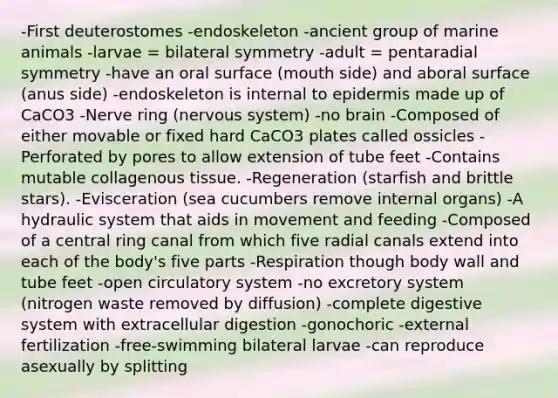 -First deuterostomes -endoskeleton -ancient group of marine animals -larvae = bilateral symmetry -adult = pentaradial symmetry -have an oral surface (mouth side) and aboral surface (anus side) -endoskeleton is internal to epidermis made up of CaCO3 -Nerve ring (nervous system) -no brain -Composed of either movable or fixed hard CaCO3 plates called ossicles -Perforated by pores to allow extension of tube feet -Contains mutable collagenous tissue. -Regeneration (starfish and brittle stars). -Evisceration (sea cucumbers remove internal organs) -A hydraulic system that aids in movement and feeding -Composed of a central ring canal from which five radial canals extend into each of the body's five parts -Respiration though body wall and tube feet -open circulatory system -no excretory system (nitrogen waste removed by diffusion) -complete digestive system with extracellular digestion -gonochoric -external fertilization -free-swimming bilateral larvae -can reproduce asexually by splitting