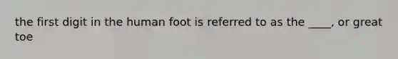 the first digit in the human foot is referred to as the ____, or great toe