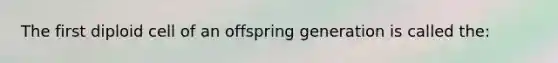 The first diploid cell of an offspring generation is called the: