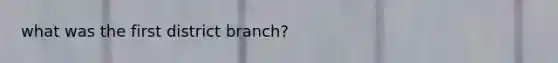 what was the first district branch?