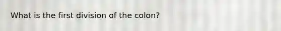 What is the first division of the colon?