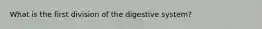 What is the first division of the digestive system?