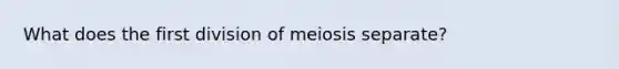 What does the first division of meiosis separate?