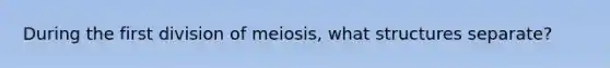 During the first division of meiosis, what structures separate?