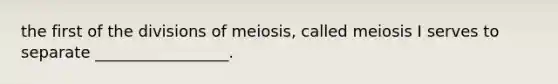 the first of the divisions of meiosis, called meiosis I serves to separate _________________.